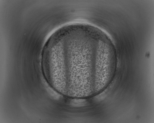 X0000092211325200710051129