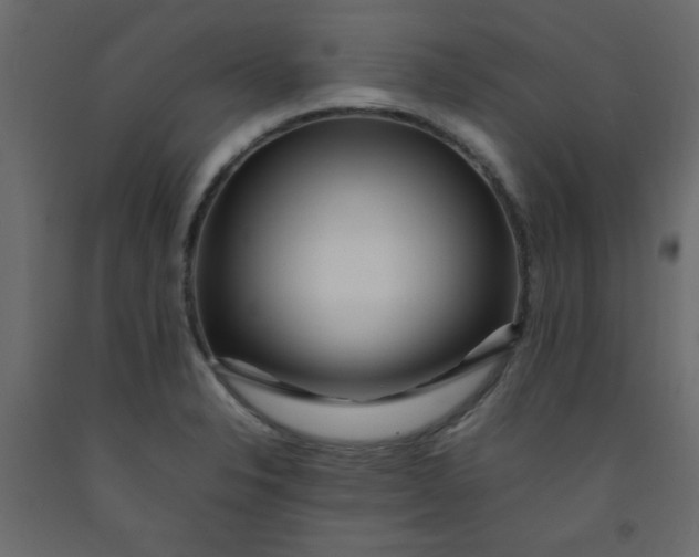 X0000092211326200710051129