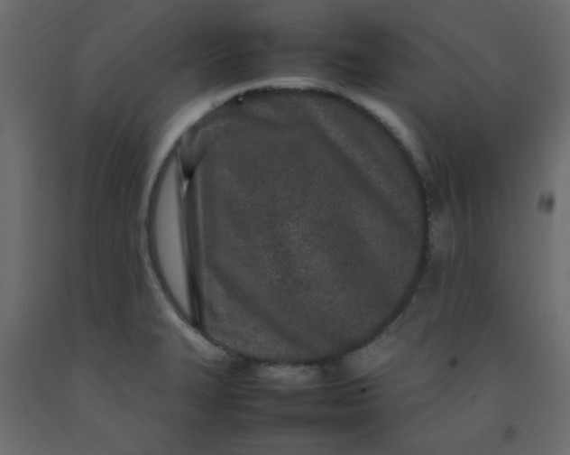 X0000092211327200710051129