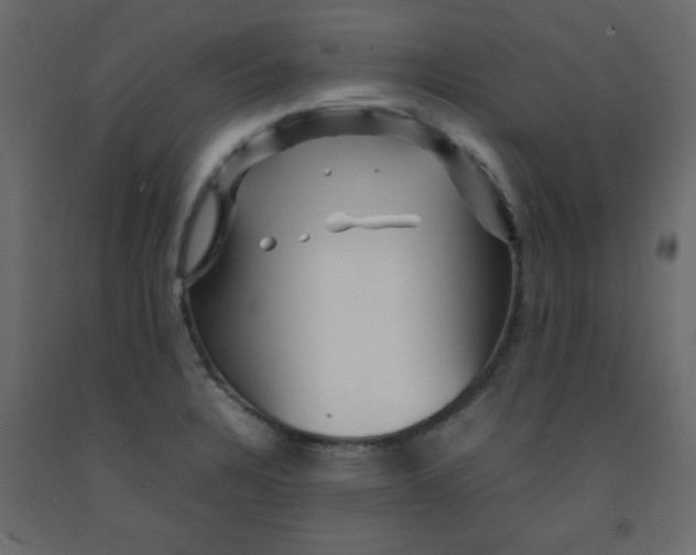 X0000092211328200710051129