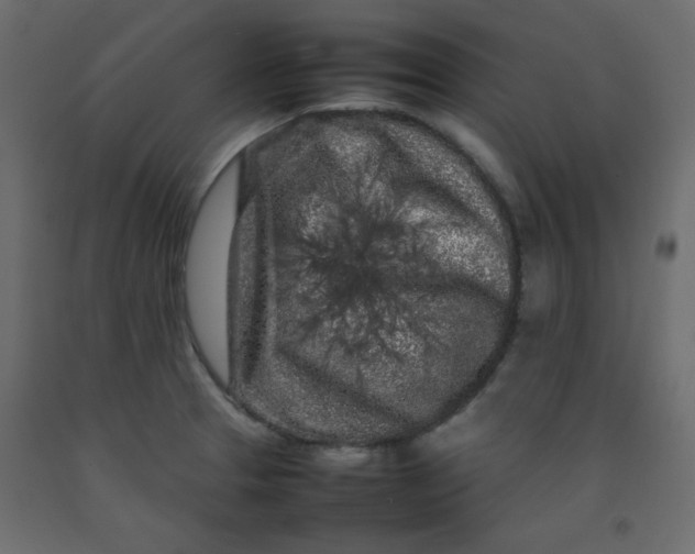 X0000092211329200710051129