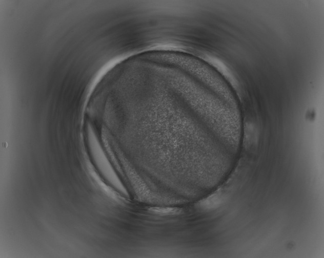 X0000092211331200710051129