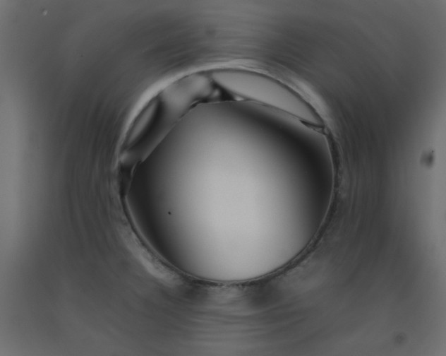 X0000092211332200710051129