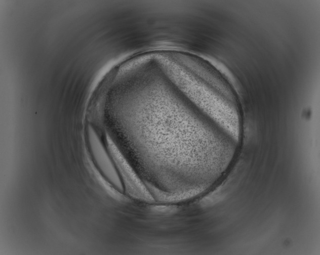 X0000092211333200710051129