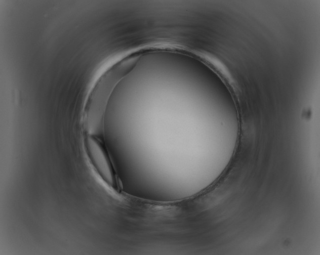 X0000092211335200710051129