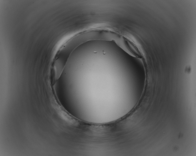 X0000092211336200710051129