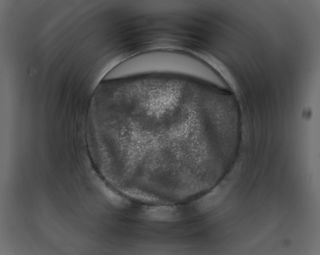 X0000092211337200710051129