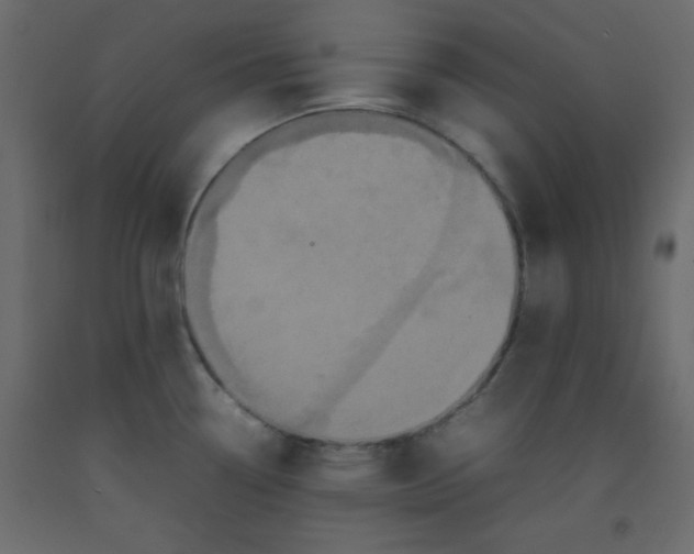 X0000092211338200710051129