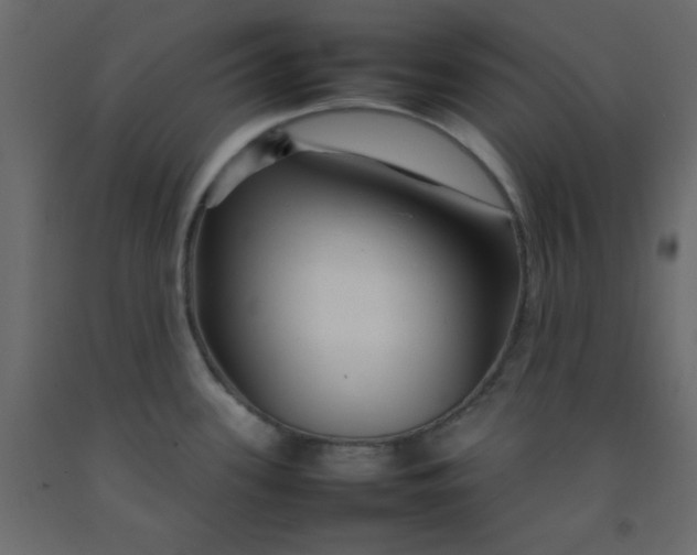 X0000092211339200710051129