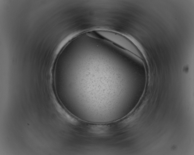 X0000092211341200710051129