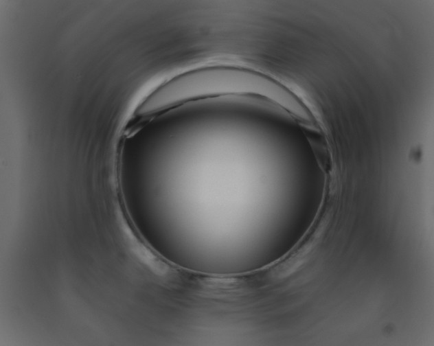 X0000092211342200710051129