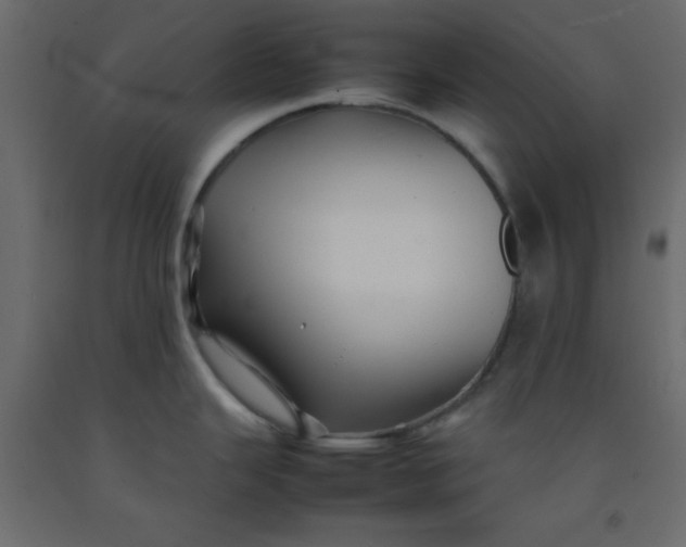 X0000092211343200710051129