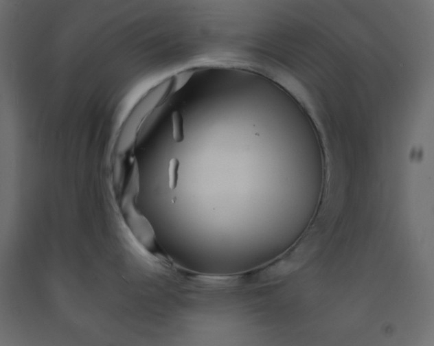 X0000092211344200710051129