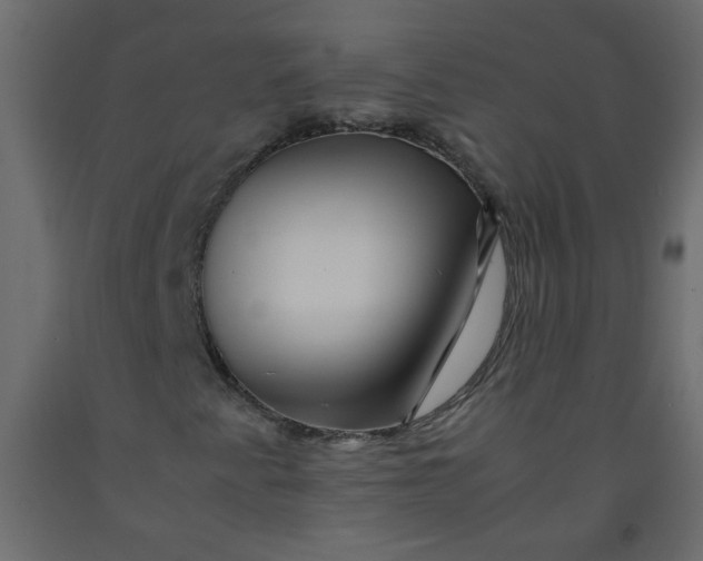 X0000092211345200710051128