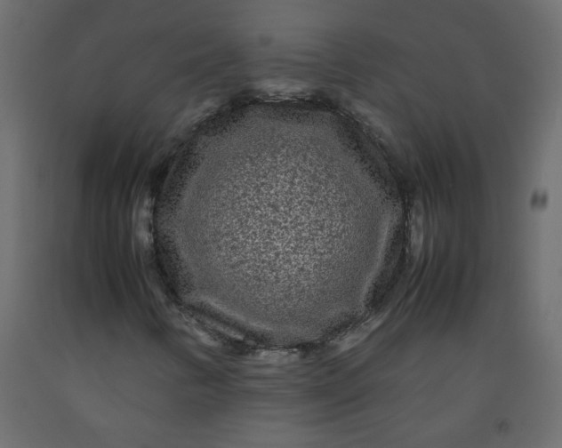 X0000092211346200710051128