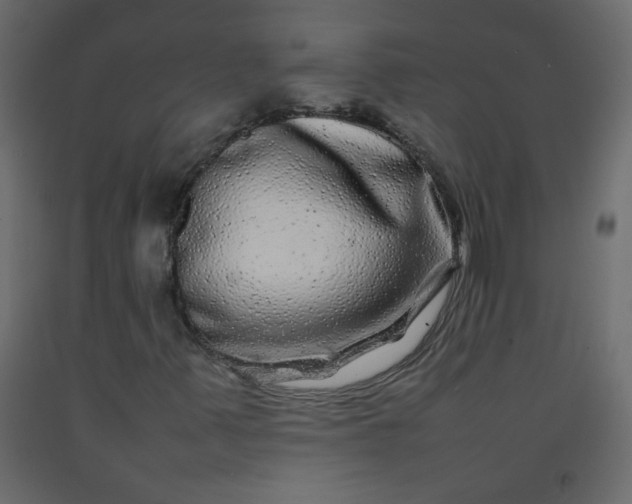 X0000092211347200710051128