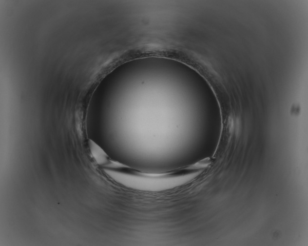 X0000092211348200710051128