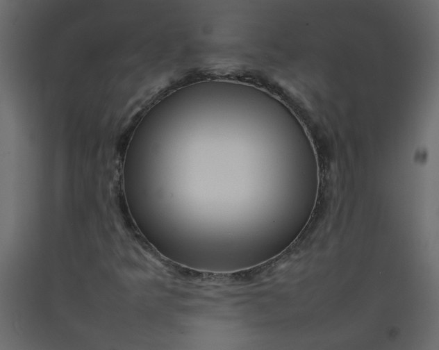 X0000092211349200710051128