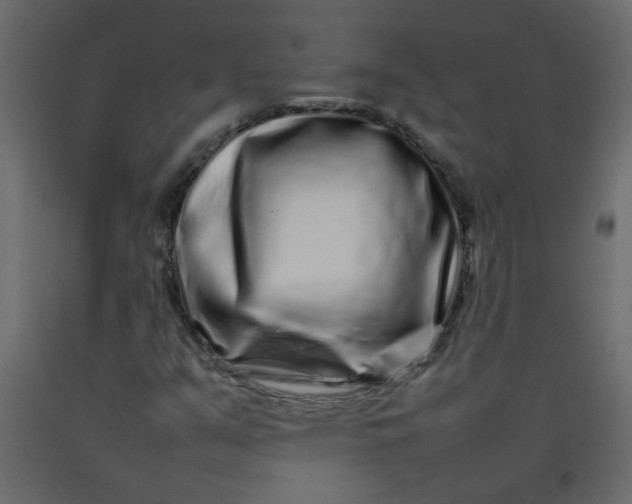 X0000092211351200710051128