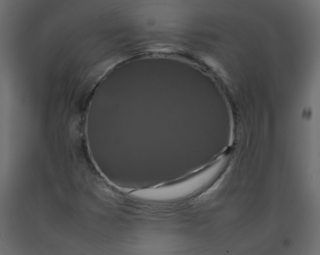 X0000092211353200710051128