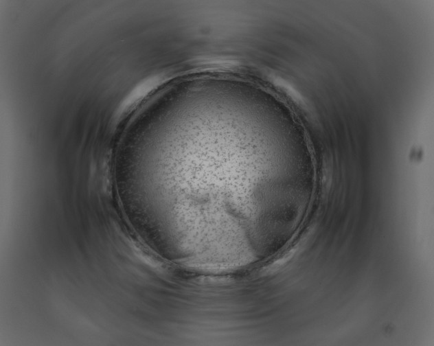 X0000092211354200710051128