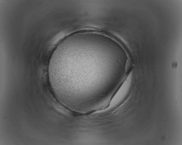 X0000092211355200710051128