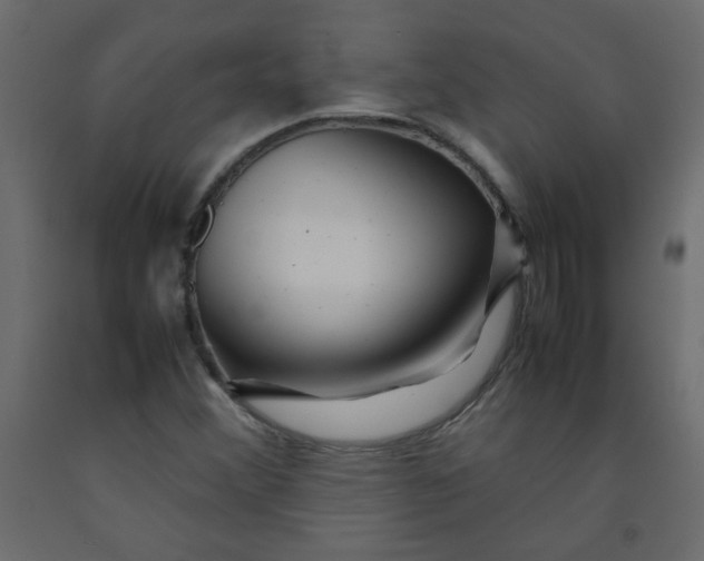 X0000092211356200710051128