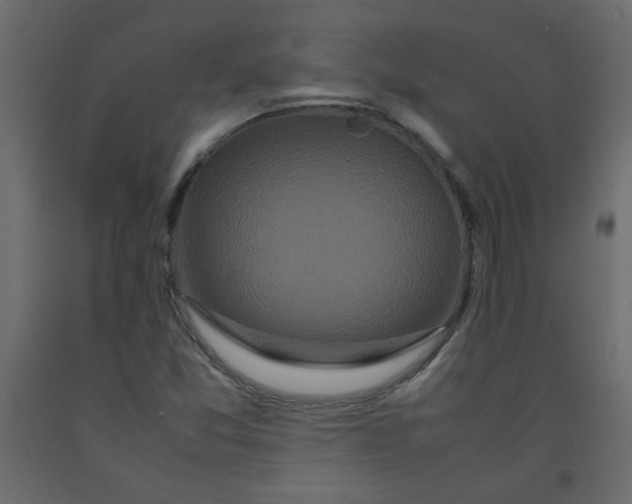 X0000092211357200710051128