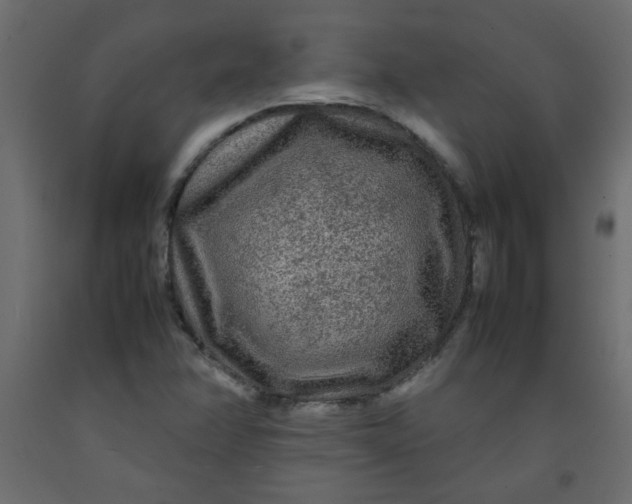 X0000092211358200710051128