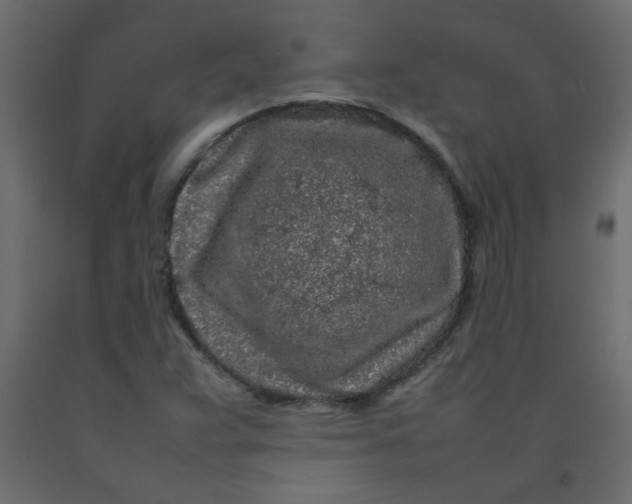 X0000092211359200710051128