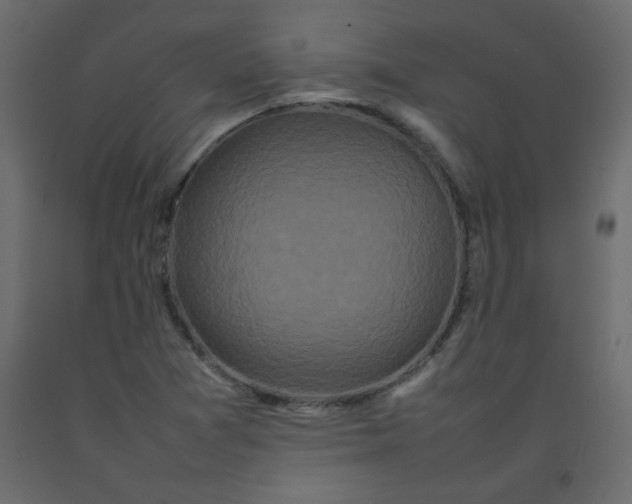 X0000092211361200710051128