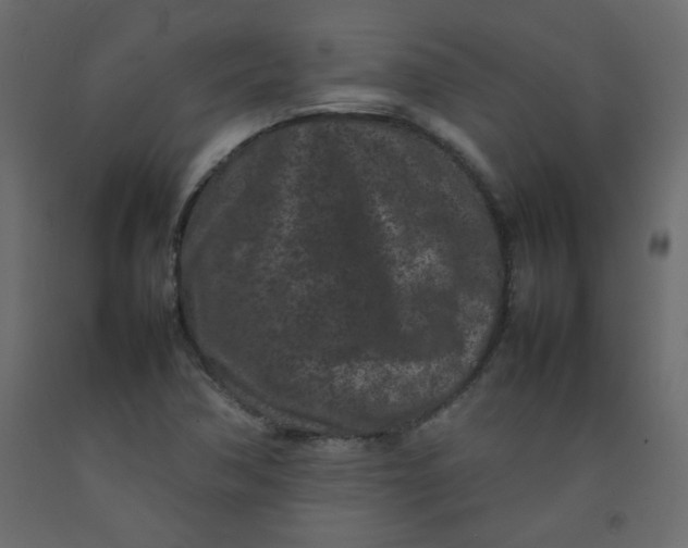 X0000092211362200710051128