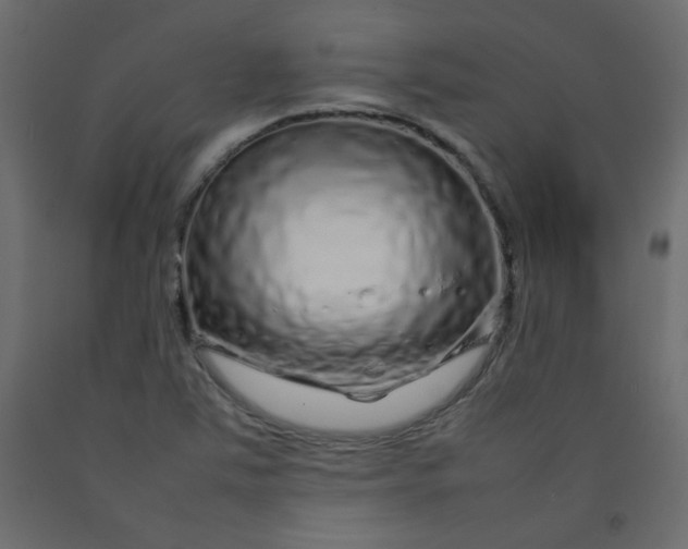 X0000092211363200710051128