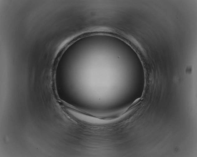 X0000092211364200710051128