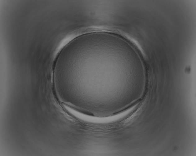 X0000092211365200710051128