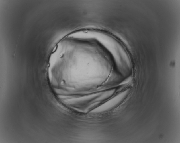 X0000092211367200710051128