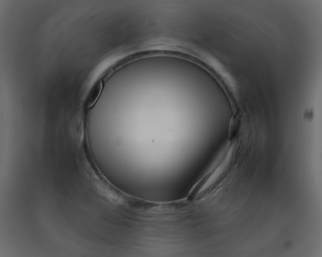 X0000092211368200710051128