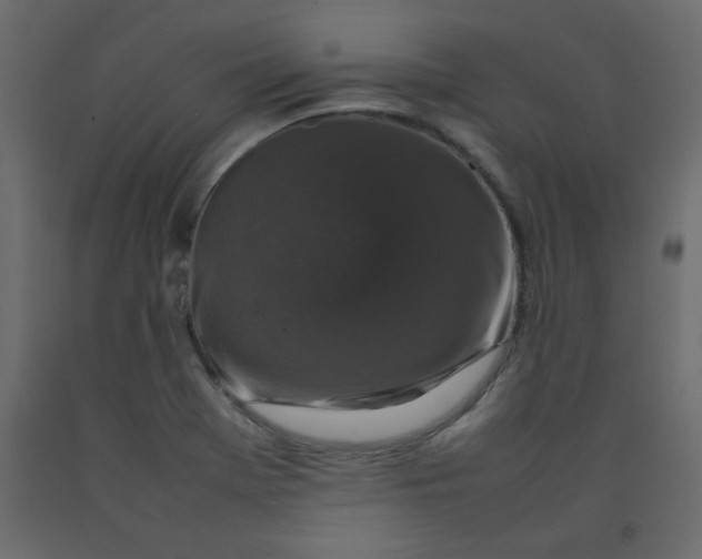 X0000092211369200710051128