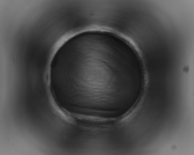 X0000092211371200710051128