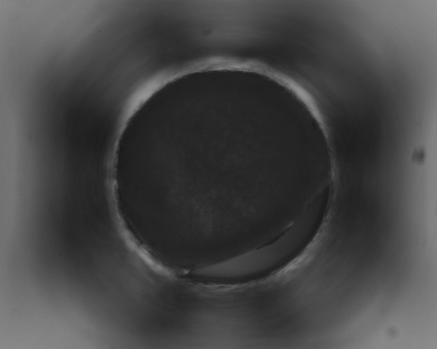 X0000092211373200710051128