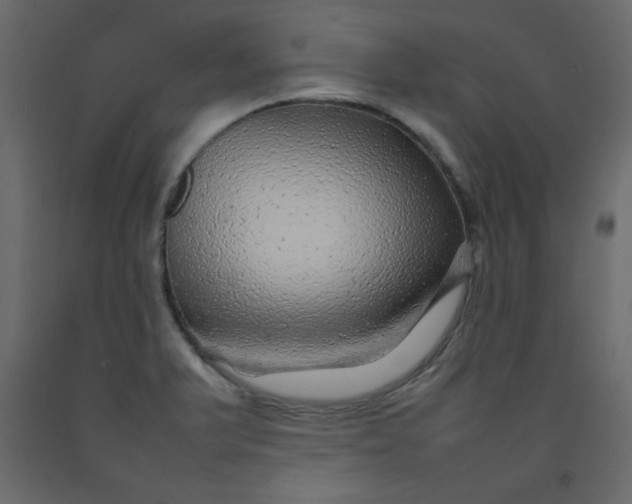 X0000092211375200710051128