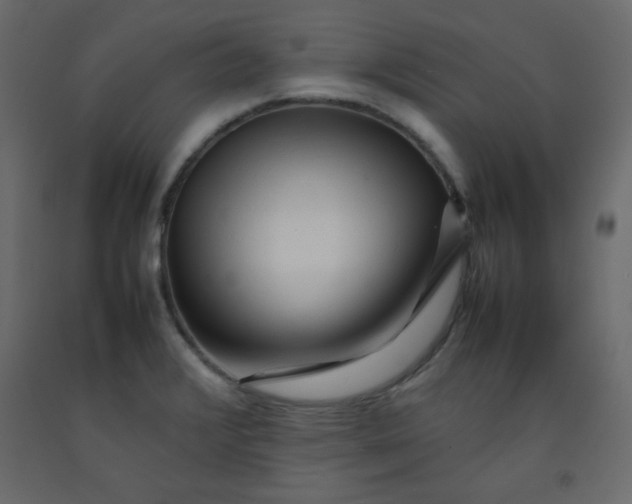 X0000092211376200710051128