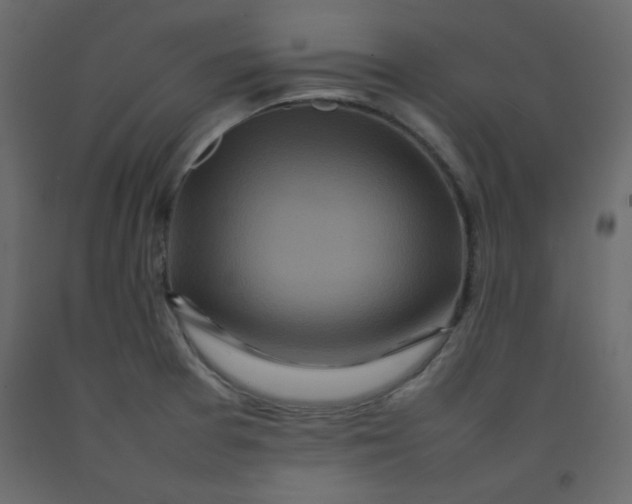 X0000092211377200710051128