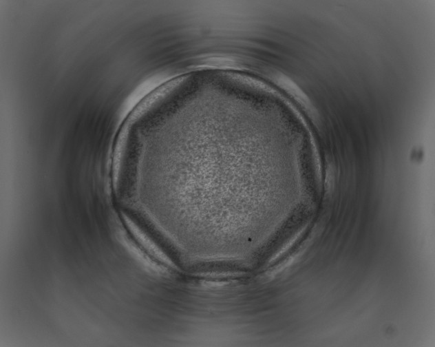 X0000092211378200710051128