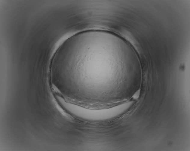 X0000092211379200710051128