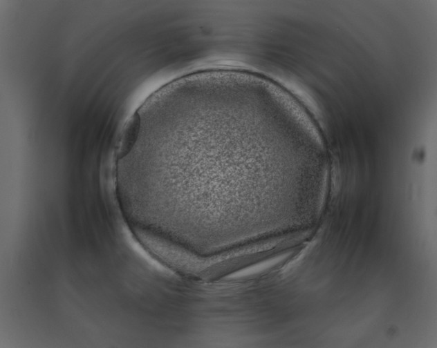 X0000092211382200710051128