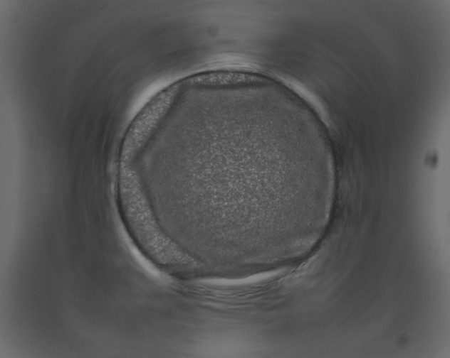 X0000092211383200710051128