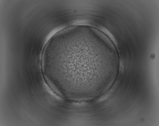 X0000092211386200710051128