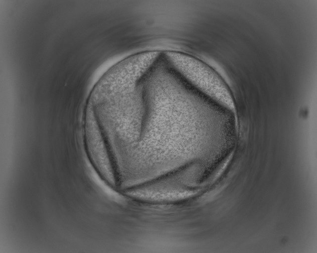 X0000092211387200710051128