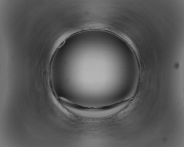 X0000092211389200710051128